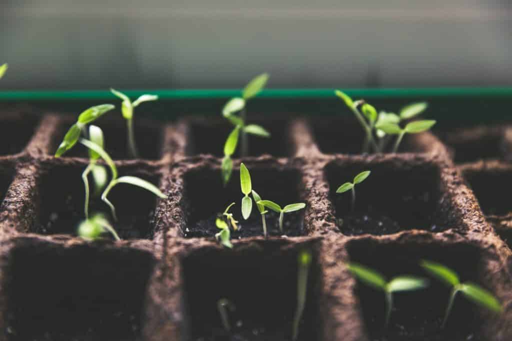 Allotment Facts