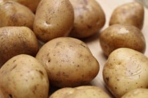 Maincrop Potatoes