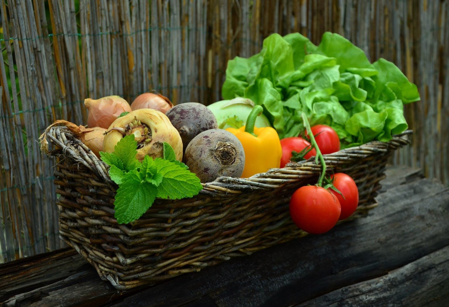 11 Easy To Grow Vegetables In The UK | The Good Allotment Life