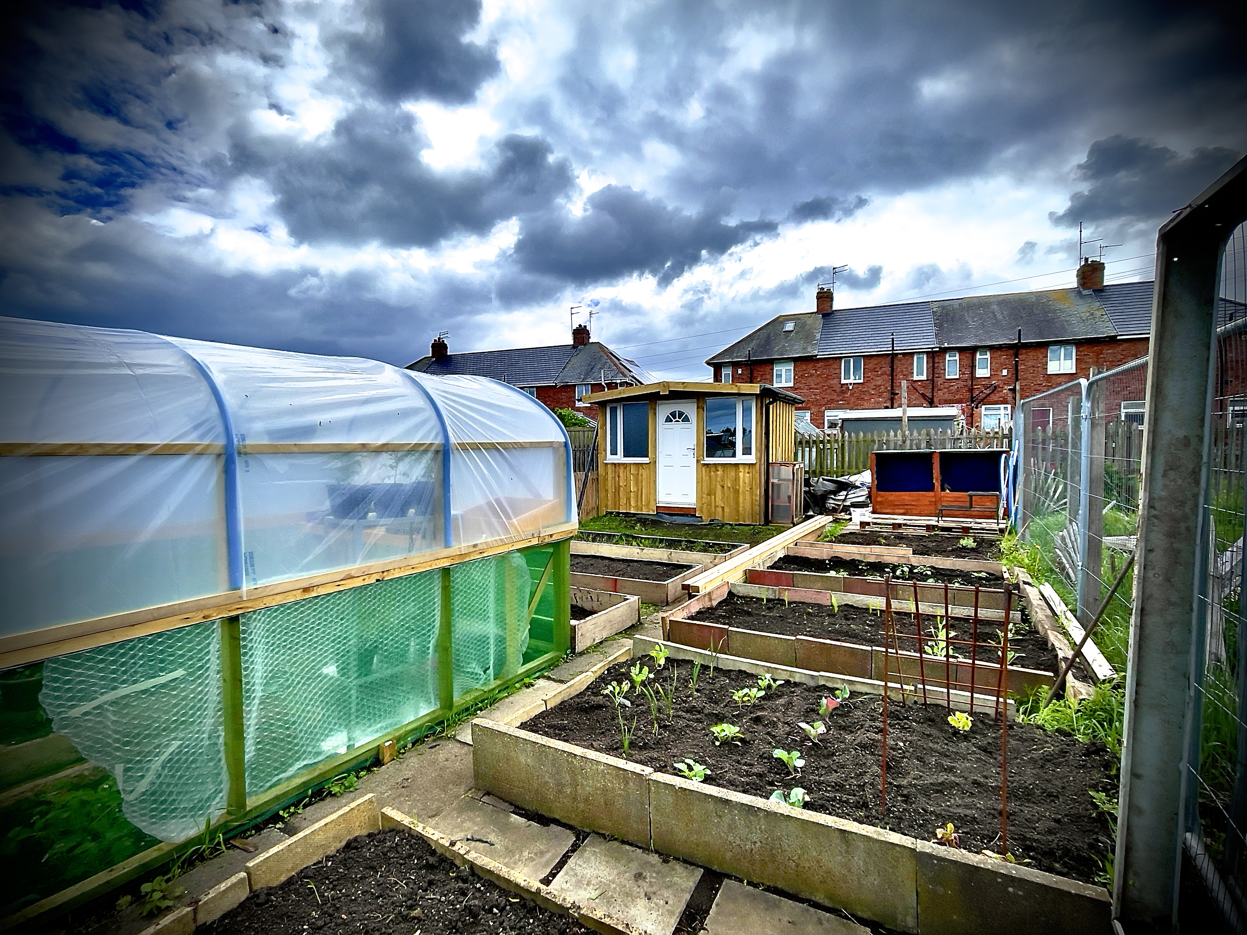 Preparing allotment beds in March UK